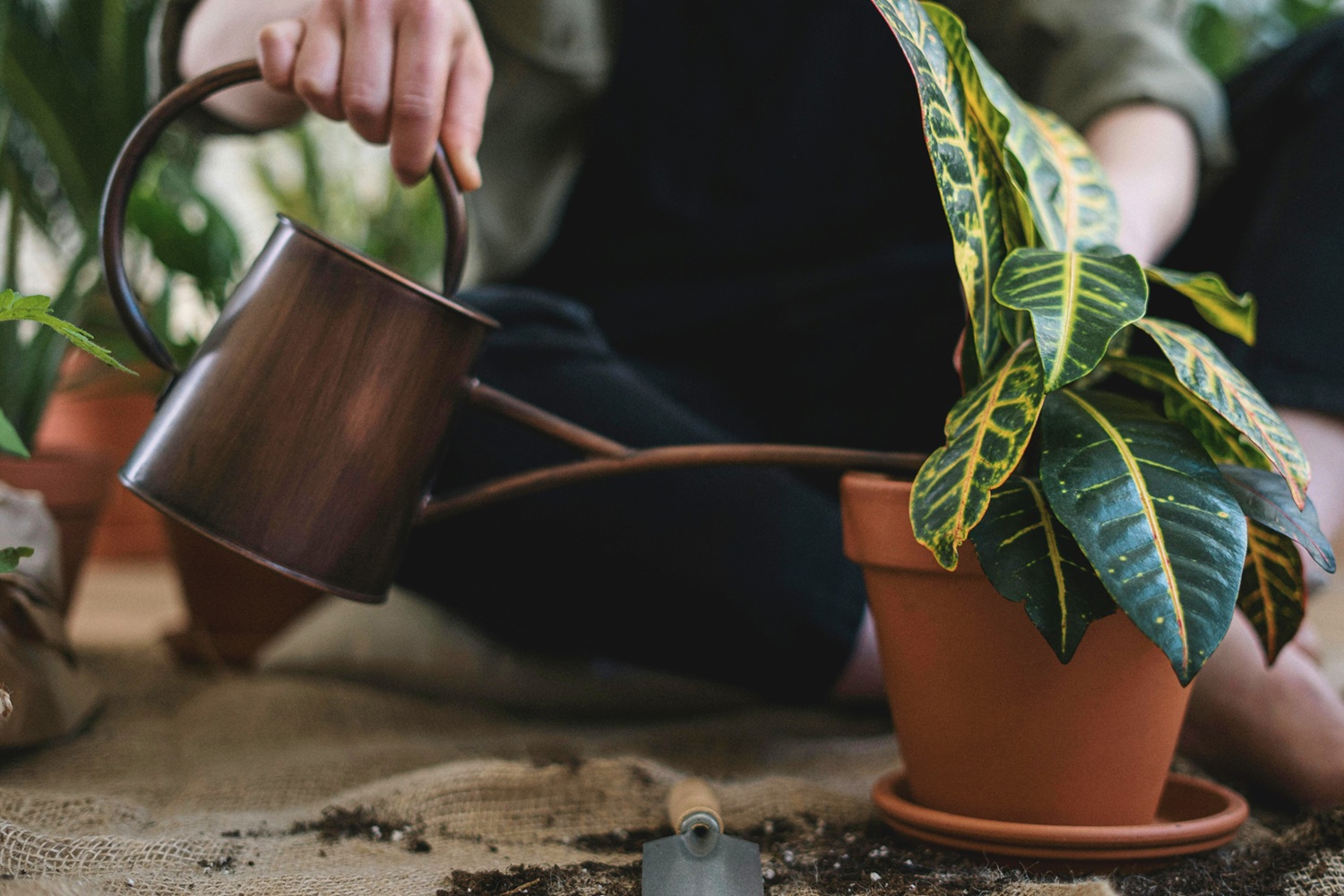 How Much You Invest Matters… Where You Invest, Matters More